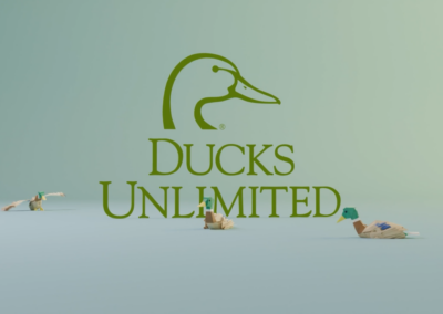 Ducks Unlimited